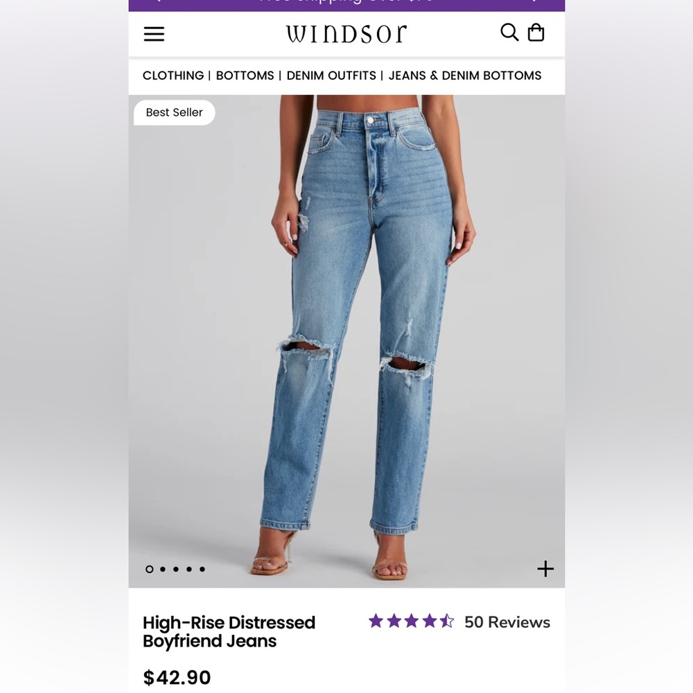 NWT Windsor High-Rise Distressed Boyfriend Jeans
